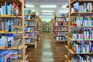 Wizyta w bibliotece