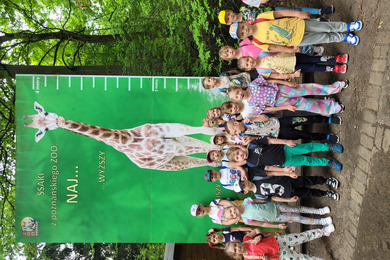 Nowe Zoo 