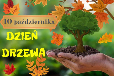 Dzień Drzewa
